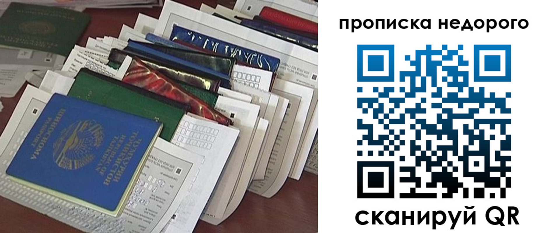 прописка гарантия в Курской области