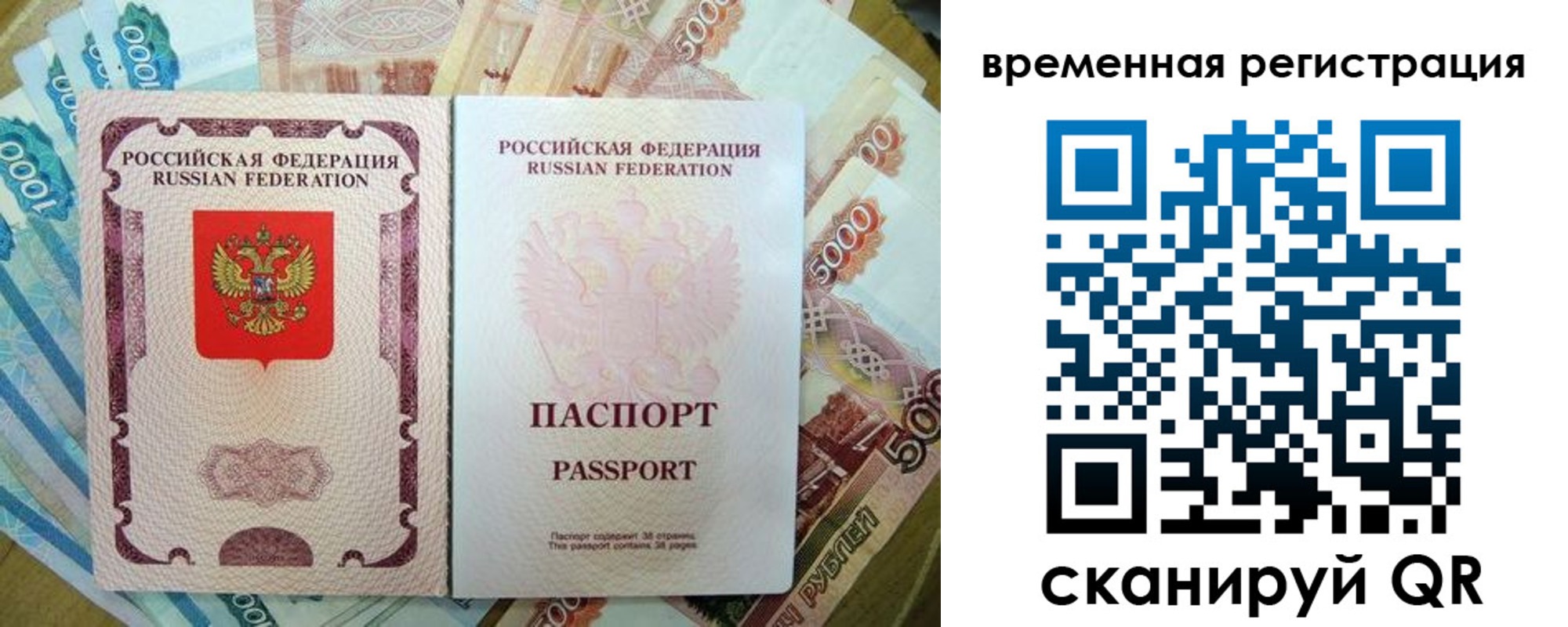 прописка для школы в Курской области